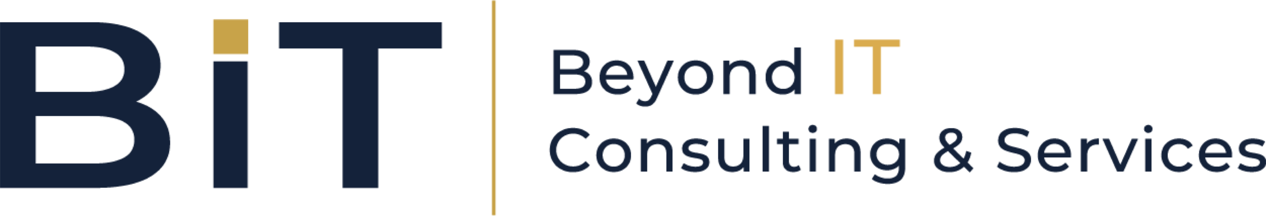 Beyond IT Consulting & Services